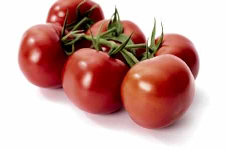 Salkım Domates Koyuncu Seracılık