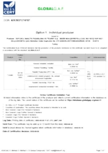 Global Gap Koyuncu Seracılık