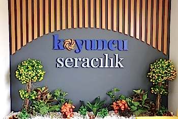  Koyuncu Seracılık